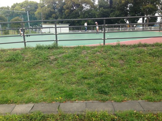 スケートエリア