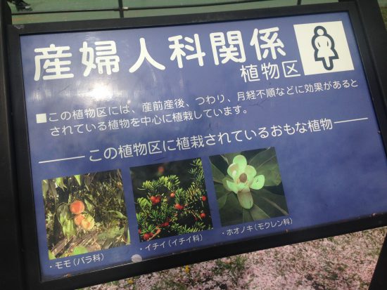 つわりに効果がある植物