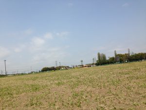 長男と広場の画像