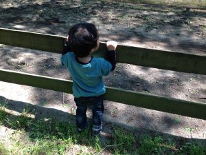 清水公園の次男