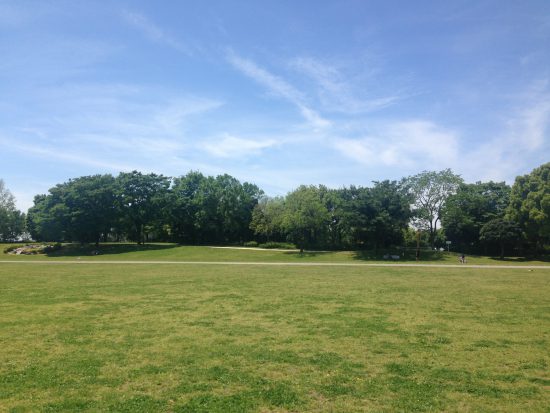 庄和総合公園のトラック