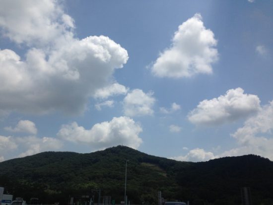 佐野SAの山