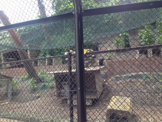 佐野SAウサギ小屋