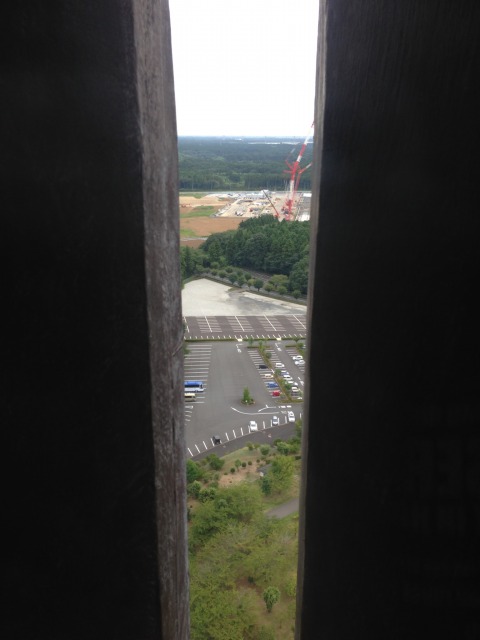 牛久大仏からの展望