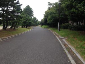 葛西臨海公園の散歩道
