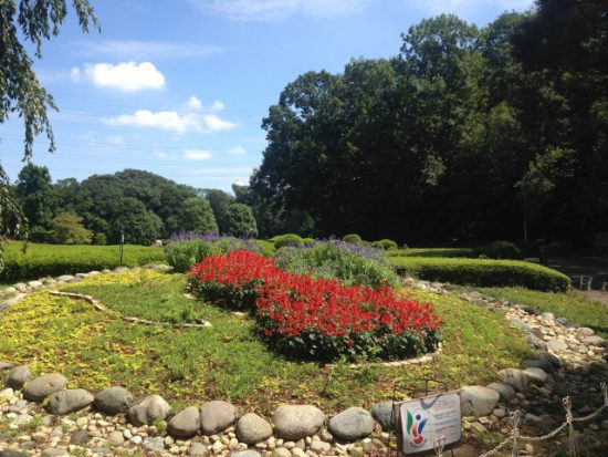 グリーンセンターの植物