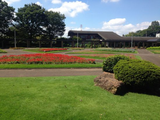 グリーンセンターの広場