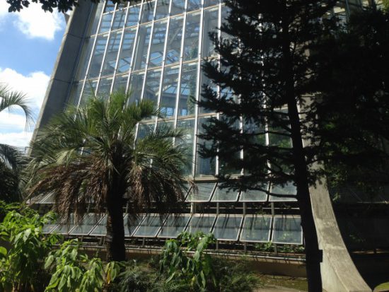 グリーンセンターの温室