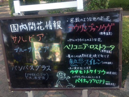 グリーンセンターの開花予想