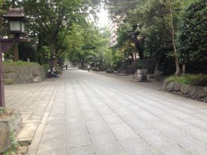 氷川神社の参道