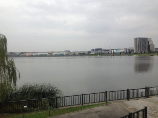 中村家住宅側のレイクタウン