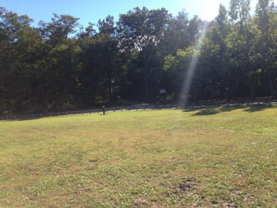 新しい村の広場