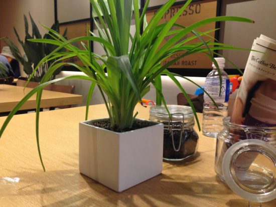 コーヒービーン