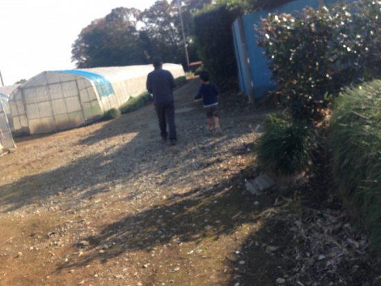 農道を歩いている画像