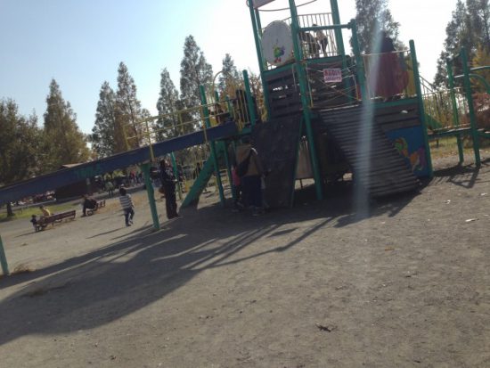 アグリパークの遊具