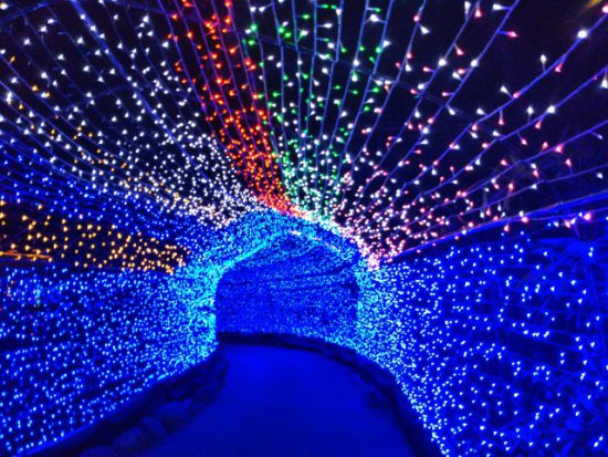 s_img_20161209_175939