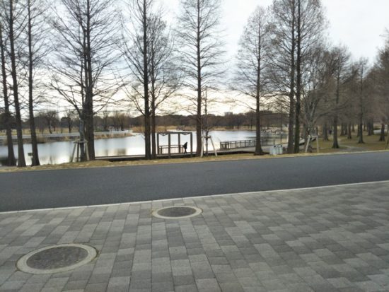 舎人公園の歩道