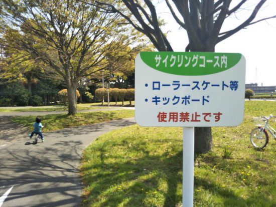 サイクリングコース