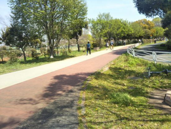 サイクリングコース