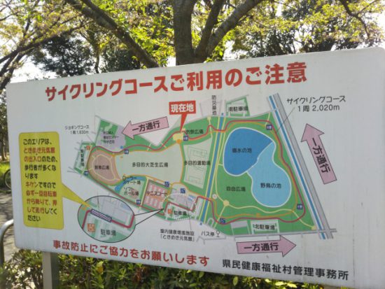 サイクリングコース