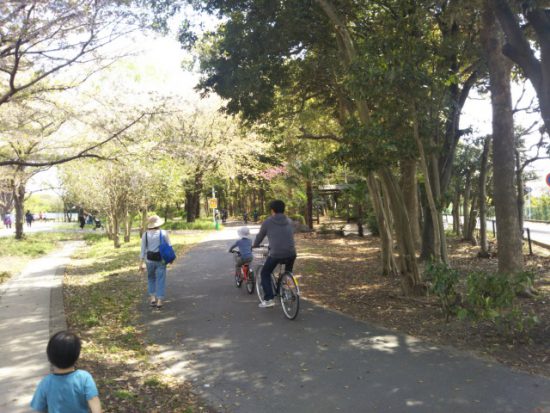サイクリングコース