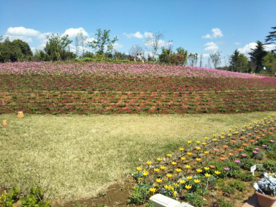 ハートフルガーデン