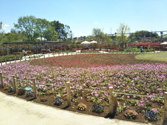 ハートフルガーデン