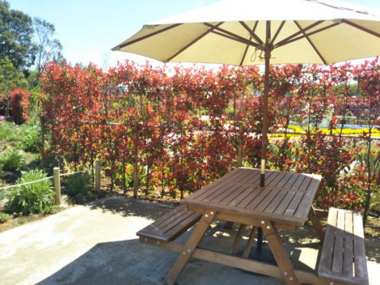 ハートフルガーデン