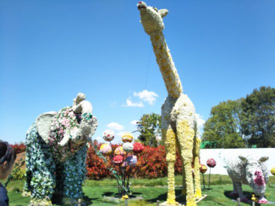 ハートフルガーデン