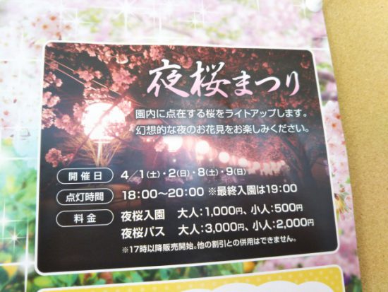 夜桜まつり