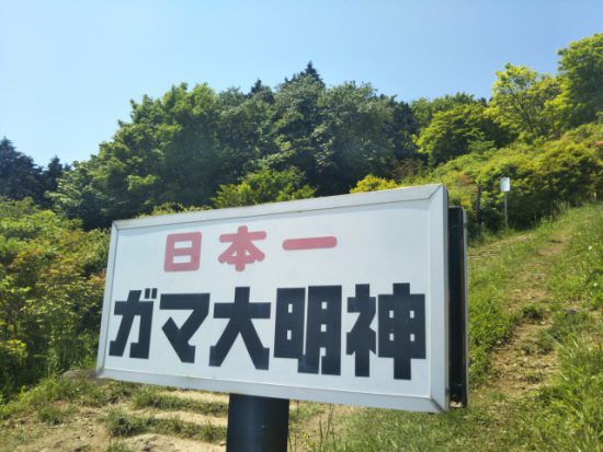 筑波山のガマ