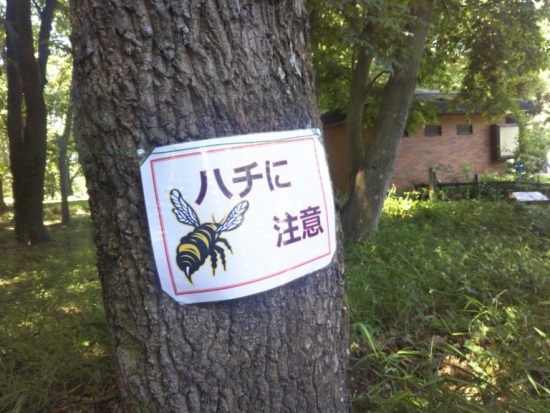 ハチに注意の看板