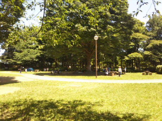 内牧公園の広場