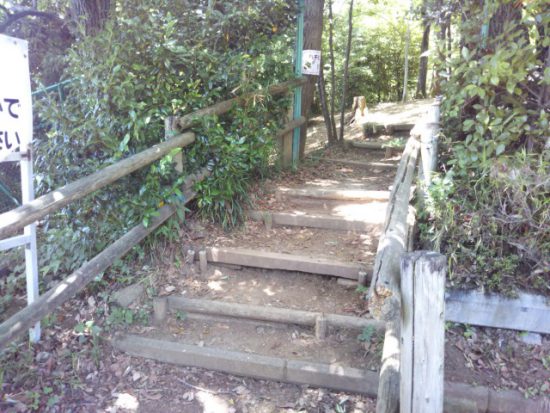 内牧公園の階段