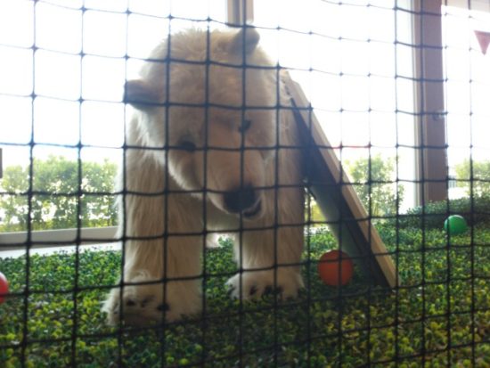 ズーアドベンチャー遊び場