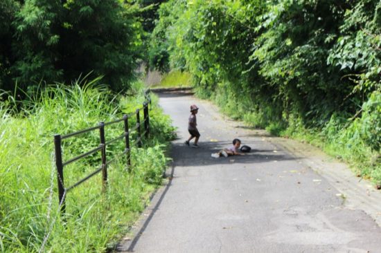 子供たちが転んだところ