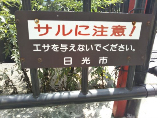 鬼怒楯岩大吊橋