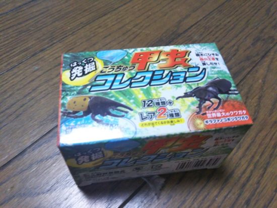 甲虫コレクション