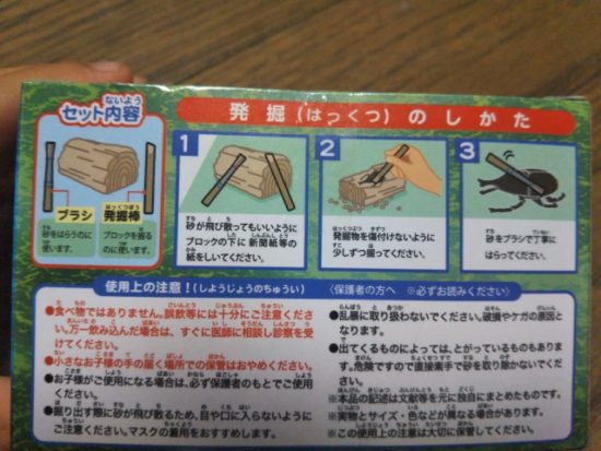 甲虫コレクション