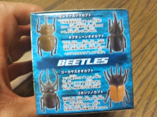 甲虫コレクション