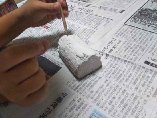 甲虫コレクション