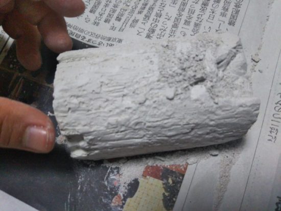 甲虫コレクション