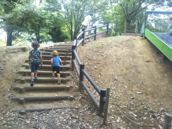 柏の葉公園の冒険のトリデ
