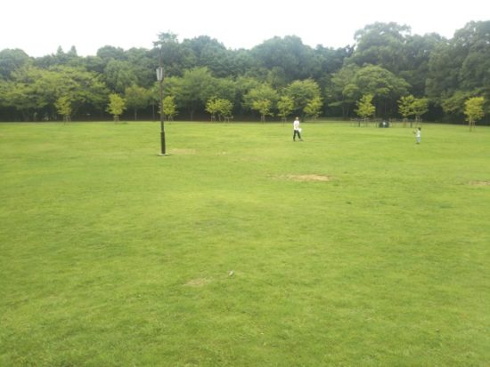柏の葉公園の遊具