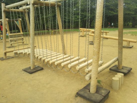 柏の葉公園の冒険のトリデ