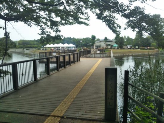 柏の葉公園
