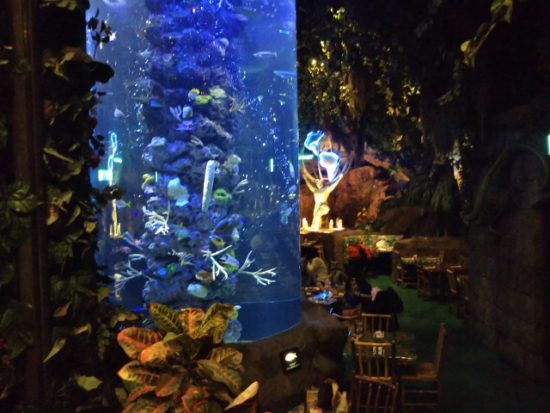 レインフォレストカフェの店内