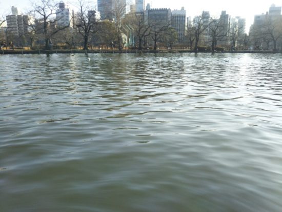 上野公園のサイクルボート