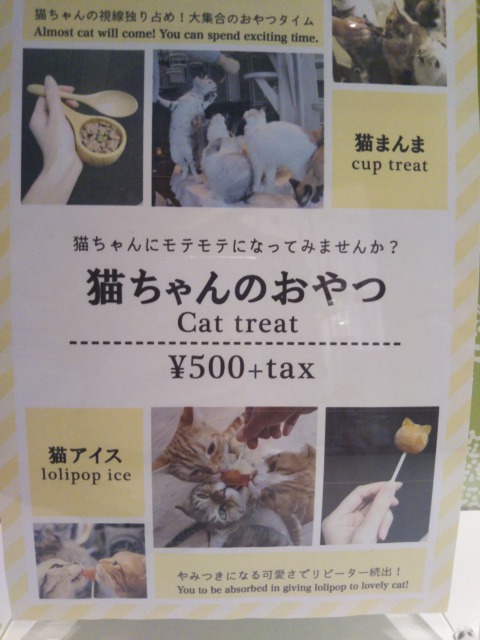 猫カフェ　猫のおやつ