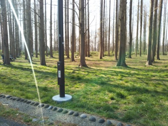 水元公園